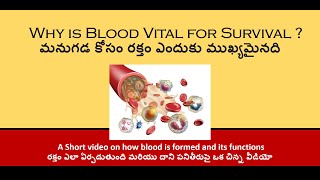 Why is blood vital for survival ? మనుగడ కోసం రక్తం ఎందుకు ముఖ్యమైనది ?