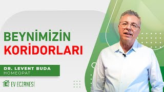 Beynimizin Koridorları, Yaşamın Kaynağı! | Dr. Levent Buda