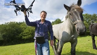 Drone opent jacht op paardenbeul