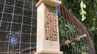 Adding a Bee House to the garden/ Learning about Mason Bees