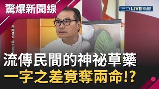 豬哥亮晚年靠\