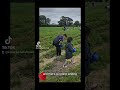 Strawberry Picking at East Yonderton Farm, Glasgow UK