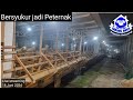 Bangga jadi peternak kambing domba - Inspirasi peluang bisnis - Ibrahim DADONG AWOK farm Banyuwangi