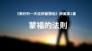 蒙福的法則 《詩篇第1篇》|美好的一天從詩篇開始