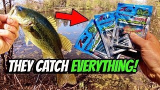 I Caught It ALL With This Lure?! | ZMAN Micro Finesse Fishing Challenge!