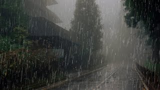 Sonido de Lluvia y Truenos para Dormir Profundamente - Lluvia Relajante en Bosque Brumoso 22