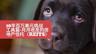 【10年100万工具】- REITs 月月收息的房地产信托个股分析 realty income（O）