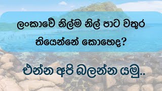 ලංකාවේ නිල්ම නිල් පාට වතුර තියෙන්නෙ කොහෙද බලමුද?💧🍃 | Vlog 5