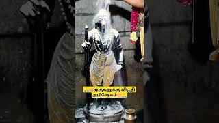 விபூதி அபிஷேகம் சிறப்பு#murugan #murugansongs #tamil #motivation #shorts #lordmurugan#viralvideo#god