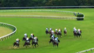 2021/06/13 東京競馬 第11R エプソムカップ