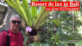 Cum arata o cazare la un resort de lux in Bali la doar 110 lei/noapte