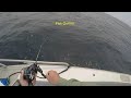 How to use NEW Shimano Ocea Jigger F Custom 2000 Slow Jigging for Yellowtail Kingfish TRIPLE hookup!