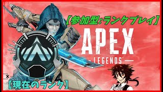 【Apex Legends】「参加型」ランク！楽しく盛っていきたい！(プラチナ4～) 【紅茶葉/配信】