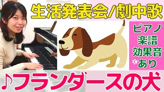 ♪フランダースの犬【生活発表会・劇中歌・オペレッタ】ピアノ楽譜あり ５歳児年長.感動泣ける物語