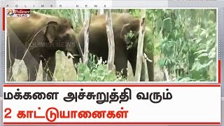 ஓசூர் அருகே மக்களை அச்சுறுத்தி வரும் 2 காட்டுயானைகள் | #HosurElephant | #Krishnagiri