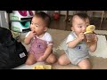 ひたすらクッキーを食べる動画！男女双子赤ちゃん生後10ヵ月the video that a baby eats a cookie earnestly