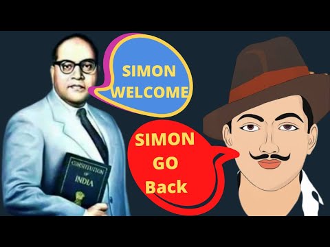 Did Ambedkar supported Simon Commission?