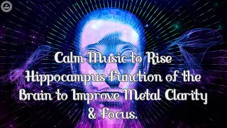 Hippocampus Function - Improve Mental Clarity \u0026 Focus | Calm Brain Music to Rise Body, Mind \u0026 Spirit