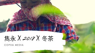 【雋永。2018。冬茶】