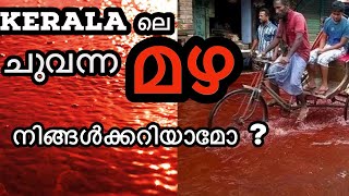 Red Rain In Kerala Explained | കേരളത്തിലെ ചുവന്ന മഴ #redrain #kerala #malayalam #rain #keralarain