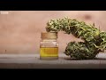 what s in cannabis derived medicines bbc news