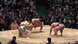 嘉風 vs 照ノ富士 2017大相撲春場所4日目 SUMO Yoshikaze vs Terunofuji 2017 Osaka