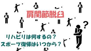 【肩の脱臼】リハビリは？ 何週目に何やるの？プロトコルは？