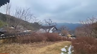 산자락에 있는 고래등 같은 기와집  텅빈마을