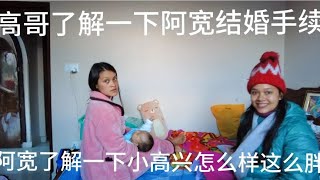 高哥了解一下阿寬結婚手續阿寬了解一下小高興怎麼樣這麼胖怎麼養