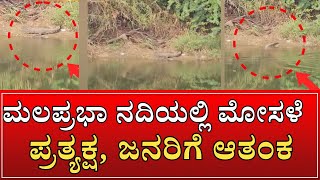 Crocodile | ಬೆಳಗಾವಿ ಜಿಲ್ಲೆಯ ರಾಮದುರ್ಗ ಘಟಕನೂರ ಹೊರವಲಯ