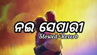 Nai Se Pari odia lofi song[Slowed+Reverb]Human Sagar