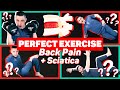 What Is The PERFECT Exercise For LOW BACK PAIN?