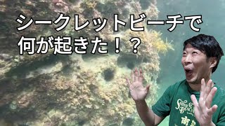 【シュノーケリング】シークレットビーチで何が起きた！？