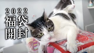 【2022】3000円の猫用福袋を開封します！！【ノルウェージャンフォレスト】