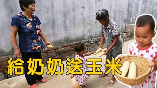 兩歲寶寶給鄰居奶奶送玉米，送完還不忘叮囑她趕緊吃，太可愛了【農村小慧】