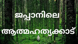 മനുഷ്യർ കടന്നു ചെന്ന് ആത്മഹത്യ ചെയ്യുന്ന കാട് | SUICIDE FOREST IN JAPAN | WITH ENGLISH SUBTITLES