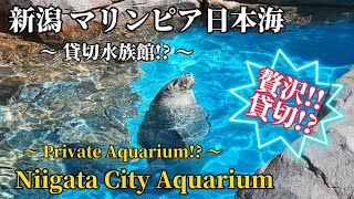 【4K/貸切水族館!?】新潟 マリンピア日本海 水族館 Niigata City Aquarium