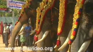 Elephant pageantry Paripally gajamela