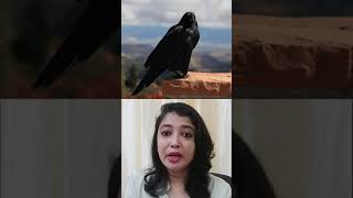 crow is the national bird of which country ? कौआ किस देश का राष्ट्रीय पक्षी है