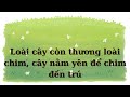 tâm mer karaoke beat chuẩn