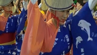 「第一勧信連（鳴：吹鼓連）」阿波踊り 第43回神楽坂まつり（2014.7.25）