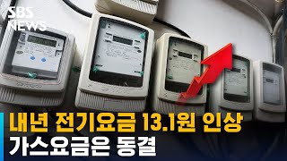 내년 1분기 전기요금 13.1원 인상…가스요금은 동결 / SBS