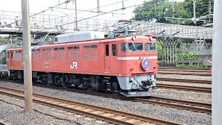 EF81-80[尾]牽引カシオペア推進回送日暮里通過