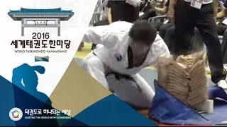 2016세계태권도한마당 - 국내 손날격파 남자 시니어ⅠⅡ 결선1위