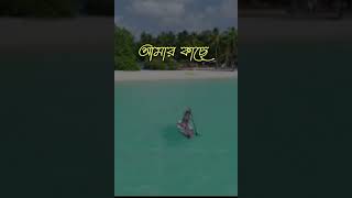 সেরা মুহূর্ত নিয়ে উক্তি ১।কষ্টের স্ট্যাটাস  বিরহ গাথা ম্যাসেজ #ভাবনা99