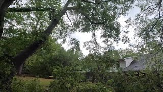 Emergency tree removal and cleanup