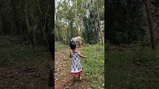 ഇനിയുമീ തൊടികളിൽ....കളിയാടാൻ...❤️ #iva #family #cute #shorts #video