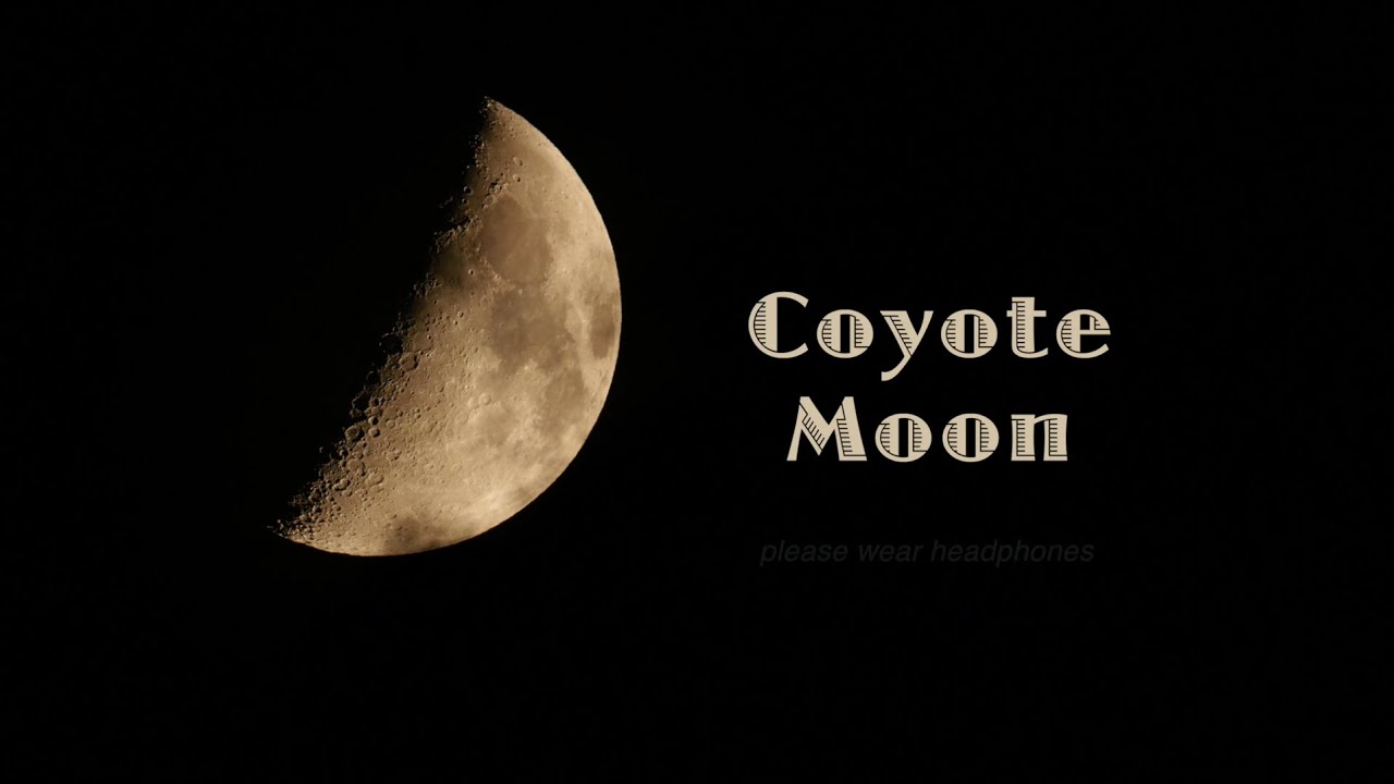 Coyote Moon - YouTube