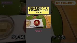 ほのぼの動画シリーズ 京都 紅葉 おすすめ 高台寺 プロジェクションマッピング 湯豆腐 羽柴さん #vlog #京都 #京都紅葉 #紅葉ライトアップ