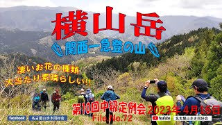 春一番お花盛り横山岳散策/霧雨の中山行/中級クラス・第10回定例会 関西の急登で知られる花の名山/ブナ林イワウチワ大群生・イカリソウ・ヒトリシズカ・カタクリ・イチリンソウ・オオカメノキ23.04.16